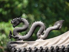 Mayský astrolog: vstupujeme do napjatého "dračího období" 