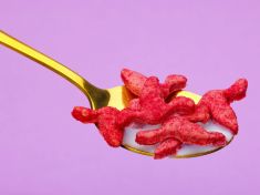 Víte, kde mají ženy dělohu? Neobvyklé cereálie vás poučí