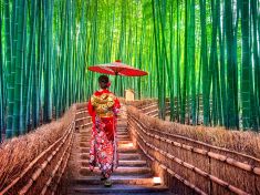 Japonsko: Země přitažlivých protikladů. Zažijte ji!