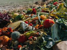 Japonci vyvinuli cement ze zbytků jídla. Materiál je pevnější než beton