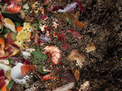 Britští aktivisté tvrdí, že kompostovat se dá i latex. Pomůže to planetě?