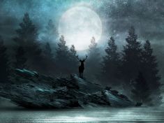 V období Jelena naslouchejte šepotu lesa a sdílejte zkušenosti, radí astrolog