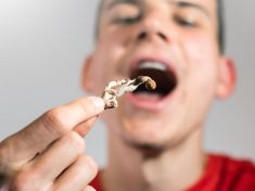 Listopad, čas lysohlávek. Pozor na záměnu i nepříjemné tripy