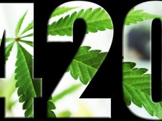 Konopný sektor vytvoří více pracovních míst než zpracovatelský průmysl