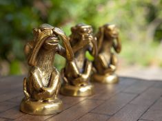 V období Opice uvolněte mysl a hledejte chytrá řešení, radí mayský astrolog