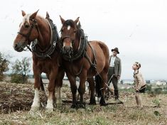 Jan Svěrák: Bez sedla!