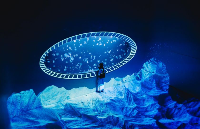 Svět medúz v Arkádách Pankrác se zapsal do Guinnessovy knihy rekordů