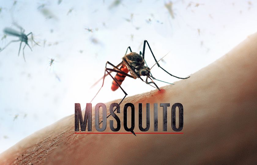 Film Mosquito varuje před rizikem globální pandemie. Že se nebojíte komárů? Začnete! 