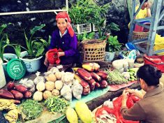 Kdo se bojí, necestuje aneb veganka 4 měsíce v Asii