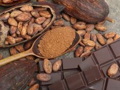 Čokoláda a zdravá? Ano, ale jen ta 100%. 