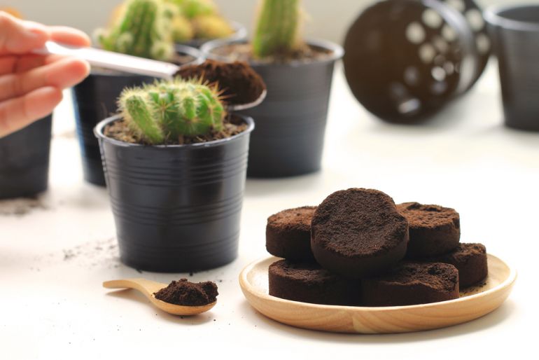 logr shutterstock 517472380