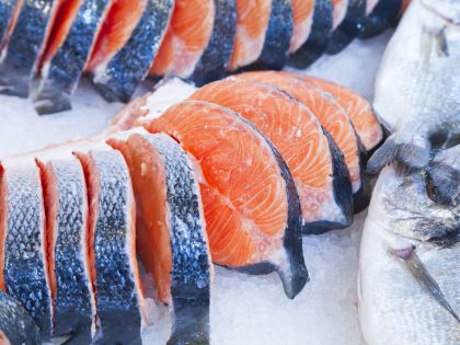 Připlavou geneticky modifikované ryby i na váš stůl?