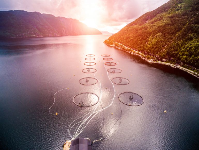 menu z roku 2030 shutterstock 481553257