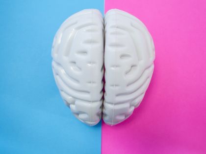 Bitva mozků: ten ženský je podle vědců aktivnější