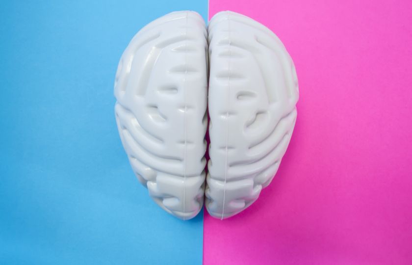 Bitva mozků: ten ženský je podle vědců aktivnější