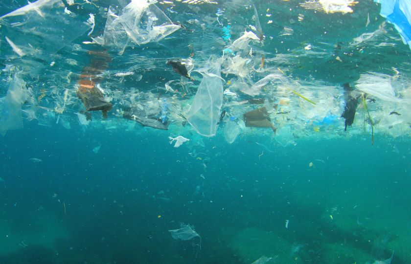 Bude do roku 2050 v oceánu víc plastů než ryb?
