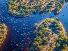 Poušť Kalahari skrývá unikátní oázu