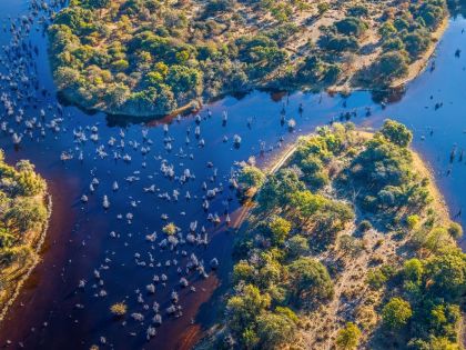 Poušť Kalahari skrývá unikátní oázu