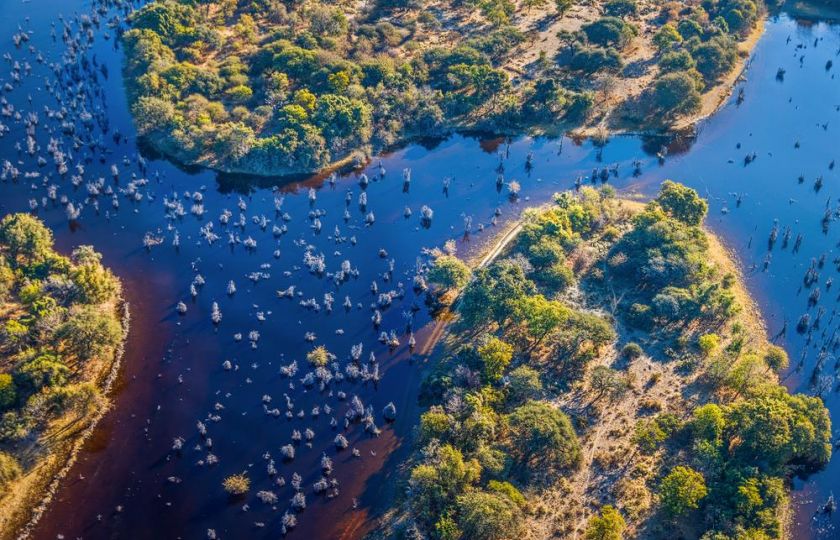 Poušť Kalahari skrývá unikátní oázu