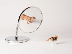 Mám na to? Jak realisticky zhodnotit naše schopnosti, než se do něčeho pustíme