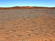 Záhadné pouštní kruhy. Dílo mimozemšťanů nebo přírody?