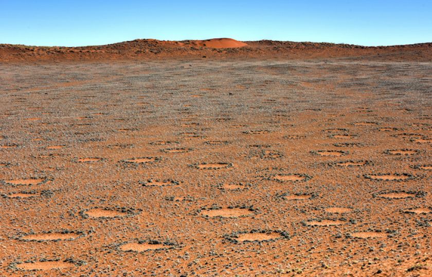 Záhadné pouštní kruhy. Dílo mimozemšťanů nebo přírody?
