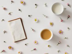 Zavařování v dubnu – sedmikráskový sirup i kopřivové pesto