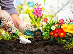 Proč mají mít dobrá věznice i nemocnice zahradu?