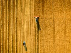 Co dělali lidé touto dobou před sto lety? 