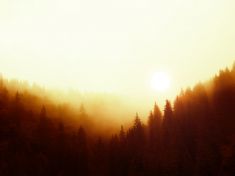 Dnes v noci se nesetmí. Magický slunovrat však nabízí víc než jen nejkratší stíny v roce