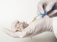 Zákaz testování na zvířatech v EU nezaručuje etickou kosmetiku. Podle čeho tedy vybírat?