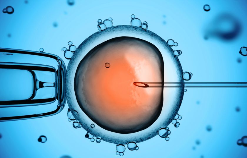 Sledovací zařízení už může být i v embryu. Zabrání potratům