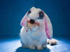 Vadí vám klauni? Tito velikonoční zajíci se vám zaslouží o ještě větší fobie.