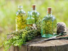 Zavařování v květnu – divoký ocet a bezový sirup