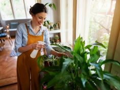 Urban Jungle: Buďte i ve městě blíž přírodě