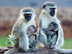 Objetí nás může zachránit od depresí