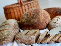 Co Češi nejvíc hledali na Googlu? Zajímalo je, jak si vyrobit droždí