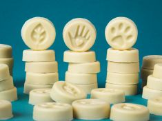 S koordinátorkou pomoci kosmetiky Lush: Naše výrobky testujeme i sami na sobě