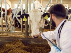 Nejste koně ani krávy. Necpěte se léky pro zvířata, vzkazuje lékový úřad