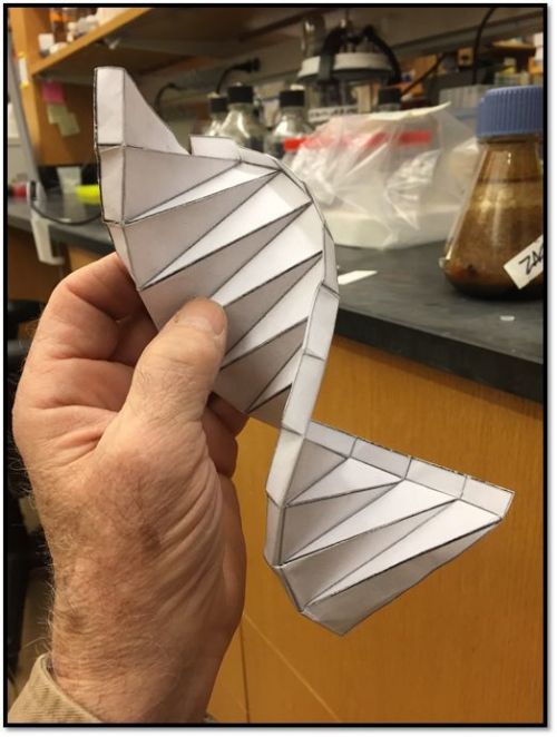 Model šroubovice DNA, autorem je (jak jinak) Joe Davis