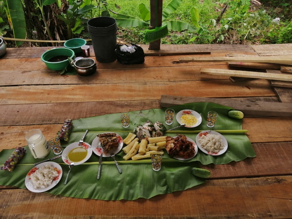 stravovani v pralese 1 1