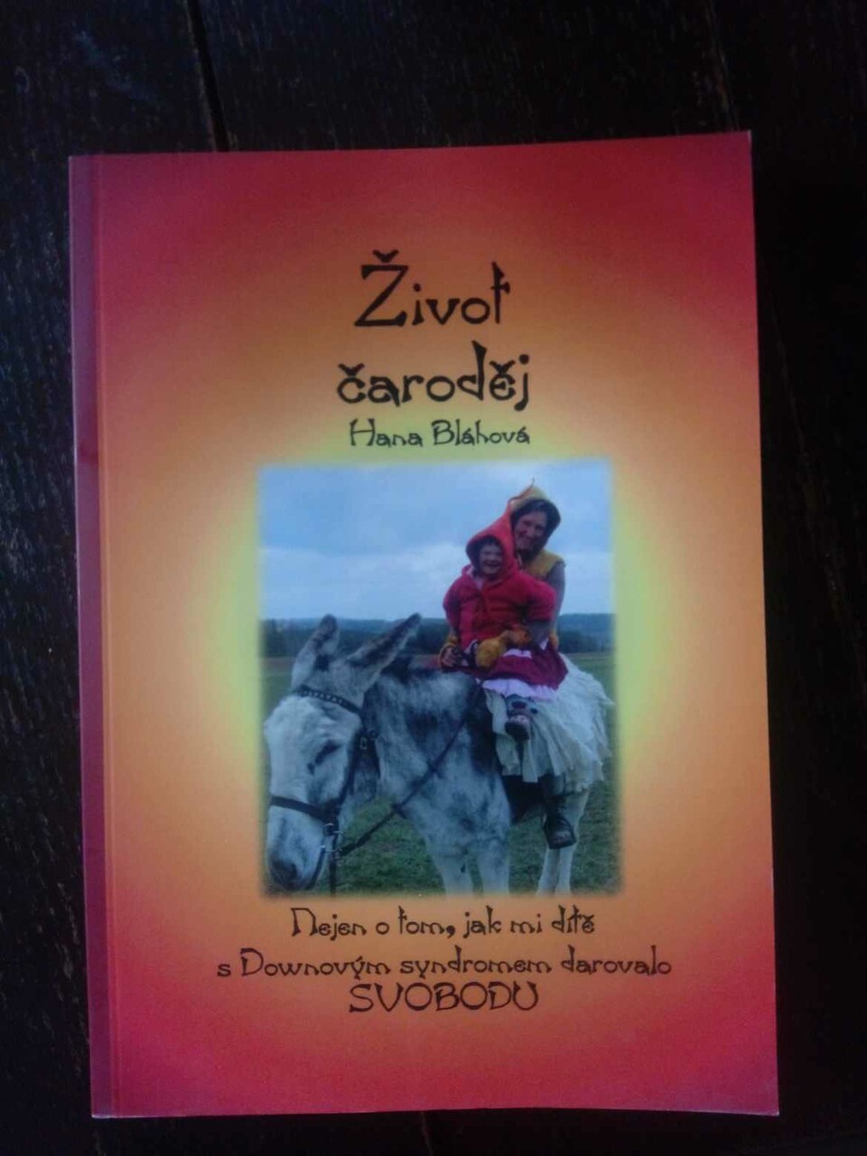 462561582 860868726167775 5431174033939286060 n