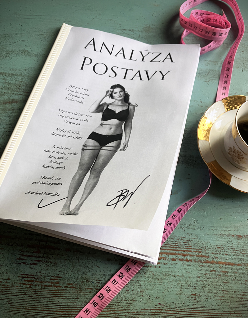 analyza postavyy titul 1