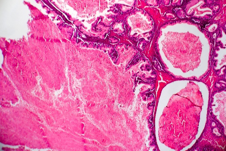 m shutterstock 2034955505