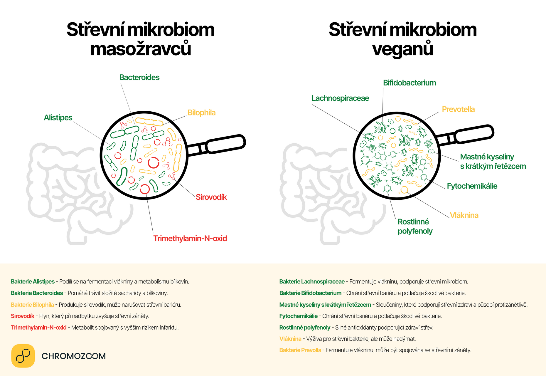 masozraveci vs vegani