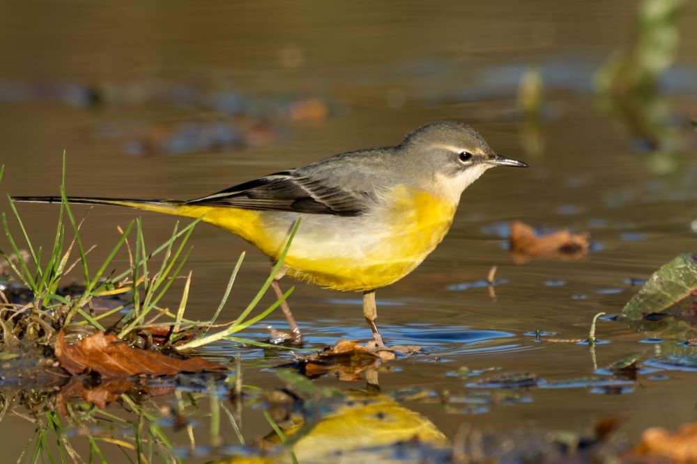 shutterstock 2127562601