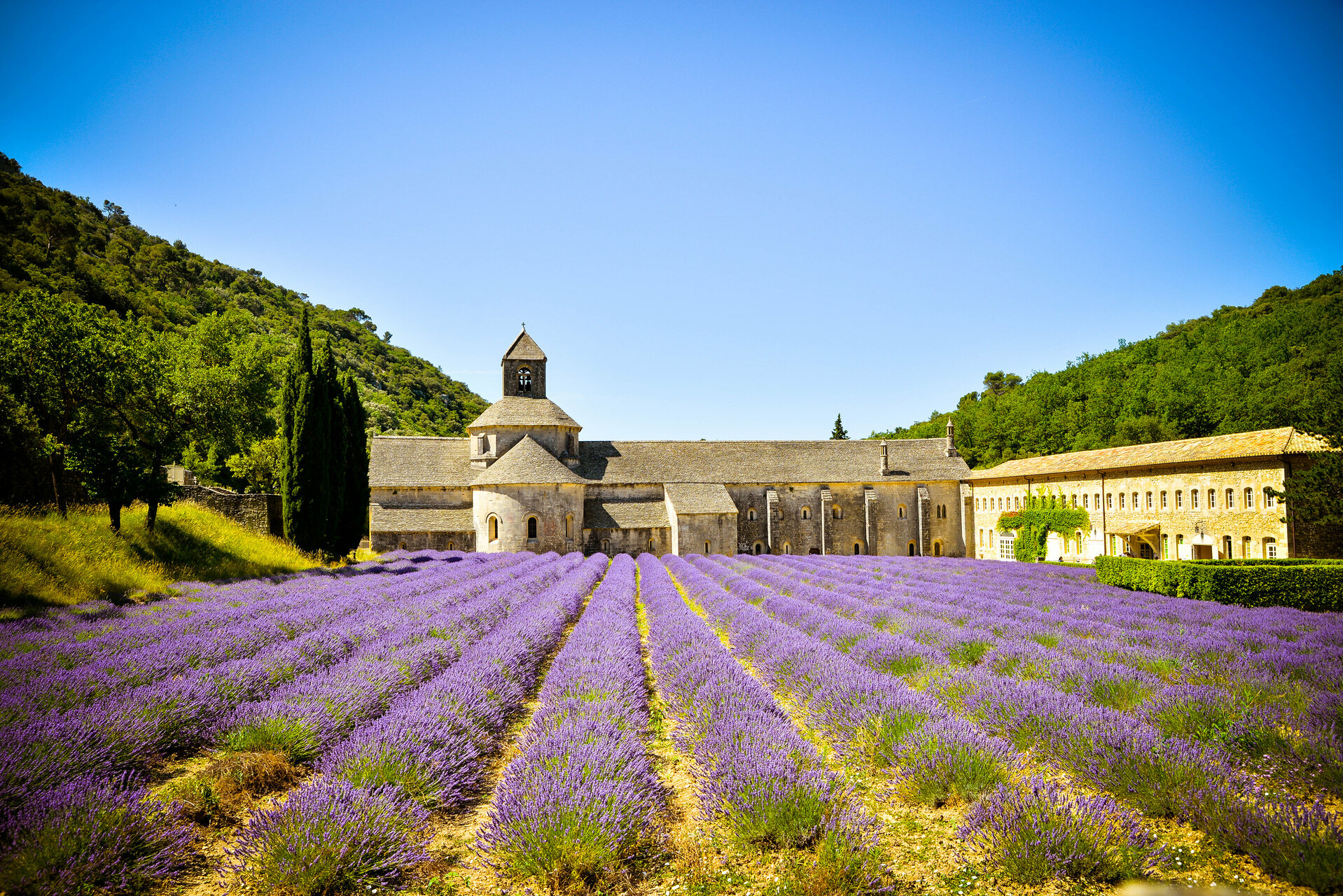 provence