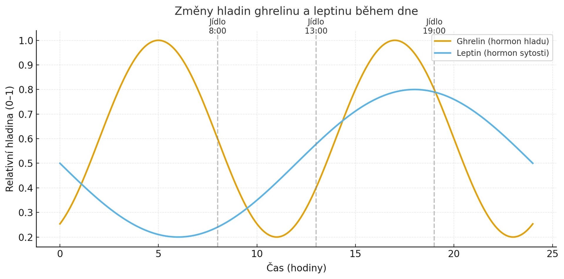 Ghrelin stoupá před jídlem a klesá po něm, leptin drží stabilnější hladinu a signalizuje dlouhodobý stav zásob energie. (foto: Hana Průšová / ChatGPT) ghrelinleptin1111
