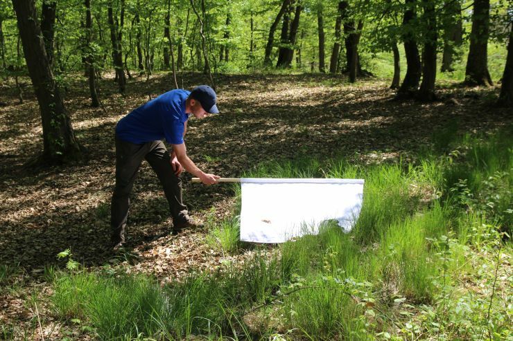 vlajkovan 2 zdroj archiv czu