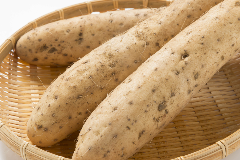 Smldinec chlupatý hraje v BHRT velmi důležitou roli. shutterstock 528219232